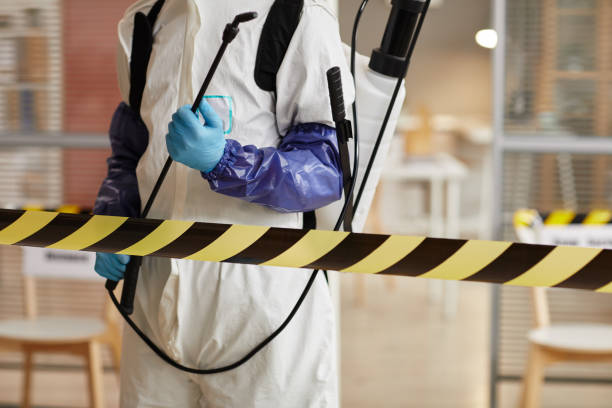 Professional Odor Removal technician working in Albany, MO